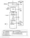 Fig. 02 - EFFECTS OF A DECAFFEINATED GREEN COFFEE EXTRACT ON BODY WEIGHT CONTROL BY REGULATION OF GLUCOSE METABOLISM