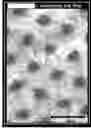 Fig. 01 - INK FILM CONSTRUCTIONS