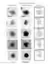 Fig. 09 - INK FILM CONSTRUCTIONS