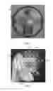Fig. 06 - Labels and methods of producing the same