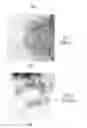 Fig. 02 - ELECTRODE ADDITIVE FOR FUEL CELL AND ITS SYNTHESIS METHOD