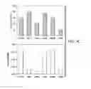 Fig. 07 - Identification of metastasis-specific miRNA and hypomethylation signatures in human colorectal cancer