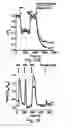 Fig. 30 - Analyte sensors, methods for preparing and using such sensors, and methods of detecting analyte activity