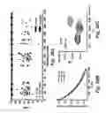 Fig. 38 - Analyte sensors, methods for preparing and using such sensors, and methods of detecting analyte activity