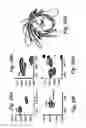 Fig. 40 - Analyte sensors, methods for preparing and using such sensors, and methods of detecting analyte activity