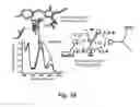 Fig. 45 - Analyte sensors, methods for preparing and using such sensors, and methods of detecting analyte activity