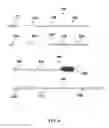 Fig. 09 - Devices, systems, methods, and kits for receiving a swab