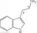 Fig. 02 - Biocatalysts and methods for synthesizing derivatives of tryptamine and tryptamine analogs