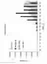 Fig. 04 - Methods of generating natural killer cells