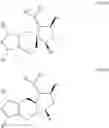 Fig. 43 - POLYCYCLIC COMPOUNDS AND METHODS RELATED THERETO