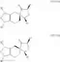 Fig. 48 - POLYCYCLIC COMPOUNDS AND METHODS RELATED THERETO