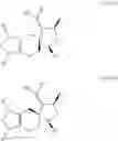 Fig. 55 - POLYCYCLIC COMPOUNDS AND METHODS RELATED THERETO