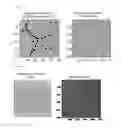 Fig. 06 - PROCESS FOR CONTROLLING THE PERIOD OF A NANOSTRUCTURED ASSEMBLAGE COMPRISING A BLEND OF BLOCK COPOLYMERS