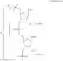 Fig. 32 - iRNA agents with biocleavable tethers