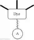 Fig. 09 - Discrete PEG Based Dyes