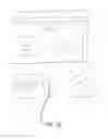 Fig. 30 - SYSTEMS AND METHODS FOR REVASCULARIZATION ASSESSMENT