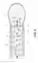 Fig. 06 - Minimally invasive biomaterial injection system