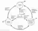 Fig. 01 - ADDITION OF SUPPLEMENTAL MULTIMEDIA CONTENT AND INTERACTIVE CAPABILITY AT THE CLIENT