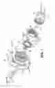 Fig. 02 - Wheel spindle drive element