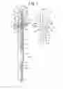 Fig. 02 - Metered quantity syringe-type dispenser