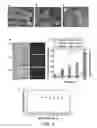 Fig. 09 - Water sterilization devices and uses thereof