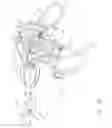 Fig. 09 - Laparoscopic clamp load measuring devices