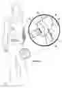 Fig. 07 - Portable backpack feeder apparatus