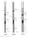 Fig. 08 - Gamma-ray detectors for downhole applications