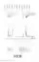 Fig. 06 - ORGANIC LIGHT EMITTING DEVICE COMPRISING 9,10-DIHYDROACRIDINE DERIVATIVE