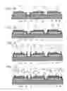 Fig. 07 - Semiconductor light emitting device