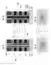 Fig. 02 - Three-dimensional non-volatile memory device