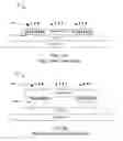 Fig. 02 - Thin film wavelength converters and methods for making the same