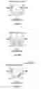 Fig. 09 - Communication system, mobile terminal apparatus, local area base station and communication method