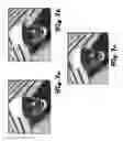 Fig. 08 - Content adaptive motion compensation filtering for high efficiency video coding
