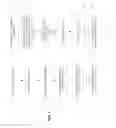 Fig. 07 - Processing of images of a subject individual