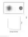 Fig. 04 - Polymeric nanocarriers with linear dual response mechanism