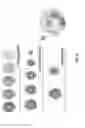 Fig. 07 - Polymeric nanocarriers with linear dual response mechanism