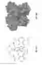 Fig. 27 - Polymeric nanocarriers with linear dual response mechanism
