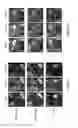 Fig. 34 - Polymeric nanocarriers with linear dual response mechanism