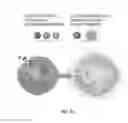 Fig. 35 - Polymeric nanocarriers with linear dual response mechanism
