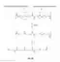 Fig. 44 - Polymeric nanocarriers with linear dual response mechanism