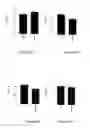 Fig. 06 - PROBIOTIC BACTERIA