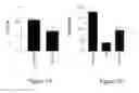 Fig. 08 - PROBIOTIC BACTERIA