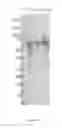 Fig. 07 - Long-acting coagulation factors and methods of producing same