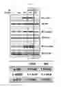 Fig. 06 - Use of an anti-Ang2 antibody