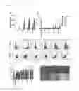 Fig. 08 - Cationic Liposomal Drug Delivery System for Specific Targeting of Human CD14+ Monocytes in Whole Blood