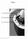 Fig. 02 - Method for preparing decorative cakes