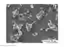 Fig. 01 - Surface-modified low surface area graphite, processes for making it, and applications of the same
