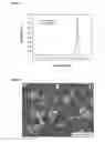 Fig. 02 - Surface-modified low surface area graphite, processes for making it, and applications of the same