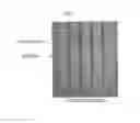 Fig. 10 - METHOD FOR DETECTING NUCLEIC ACIDS BY SIMULTANEOUS ISOTHERMAL AMPLIFICATION OF NUCLEIC ACIDS AND SIGNAL PROBE